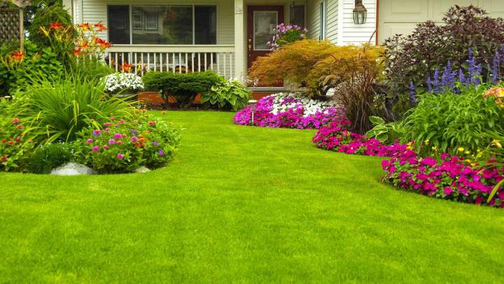Entretien de jardin professionnel Les Landes