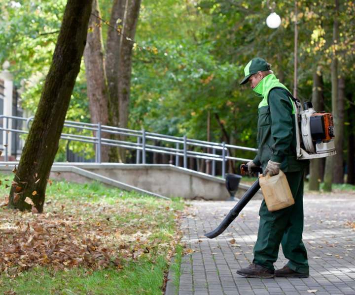Ramassage de feuilles Les Landes