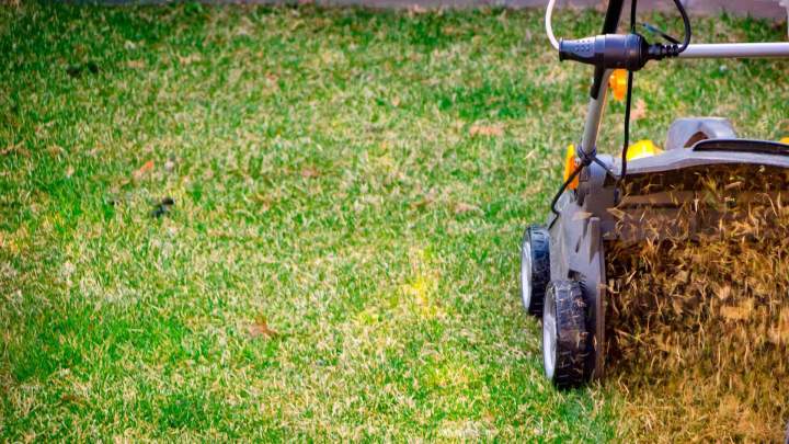 Service de tonte de pelouse Les Landes