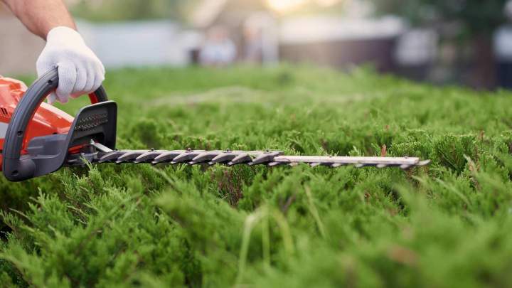 Taille de haies Les Landes