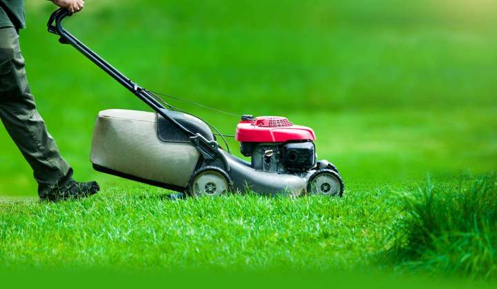 N’hésitez pas à nous contacter pour plus d’informations.