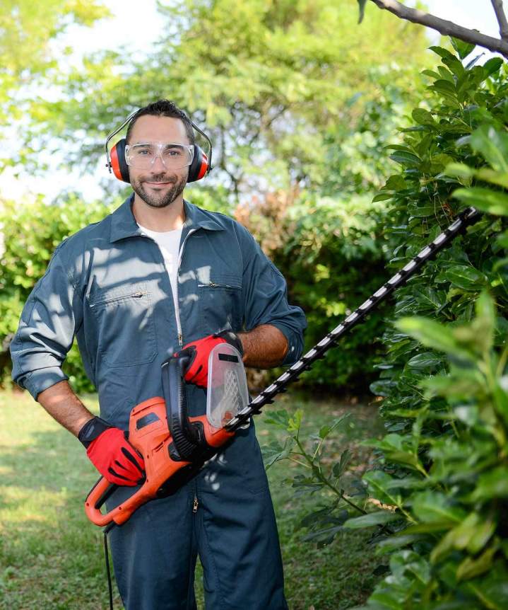 Expert en taille de haies Les Landes