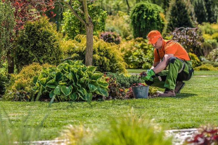 Entretien de jardin Les Landes