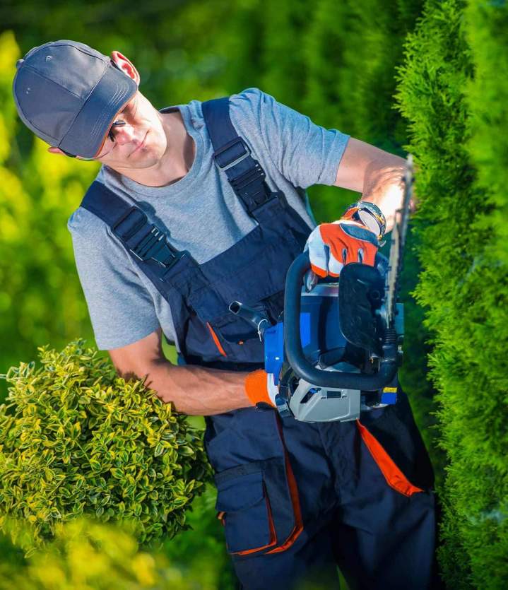 Entretien de haie Les Landes