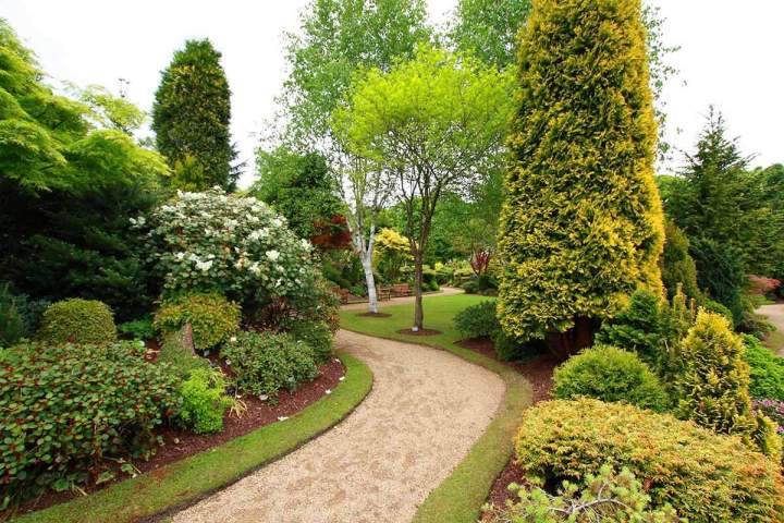 Plantation d'arbres et arbustes Les Landes