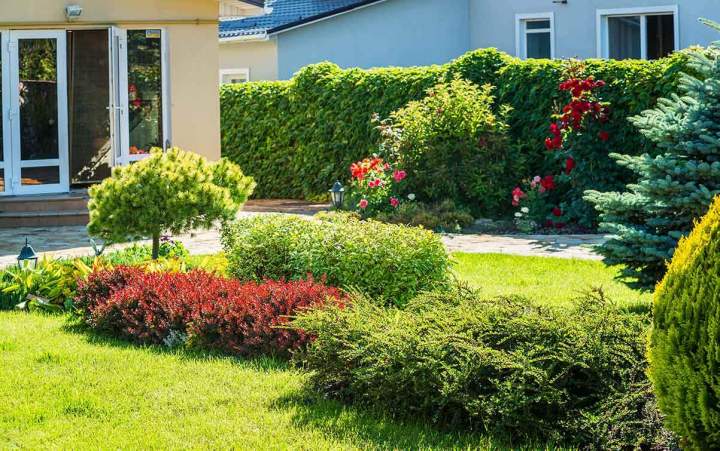 Travaux de création de jardin Les Landes